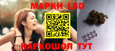 стаф Дубна