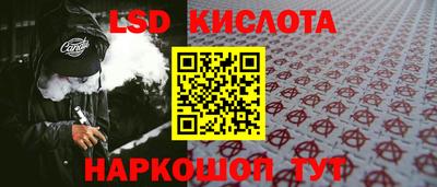 стаф Дубна