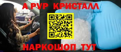 стаф Дубна