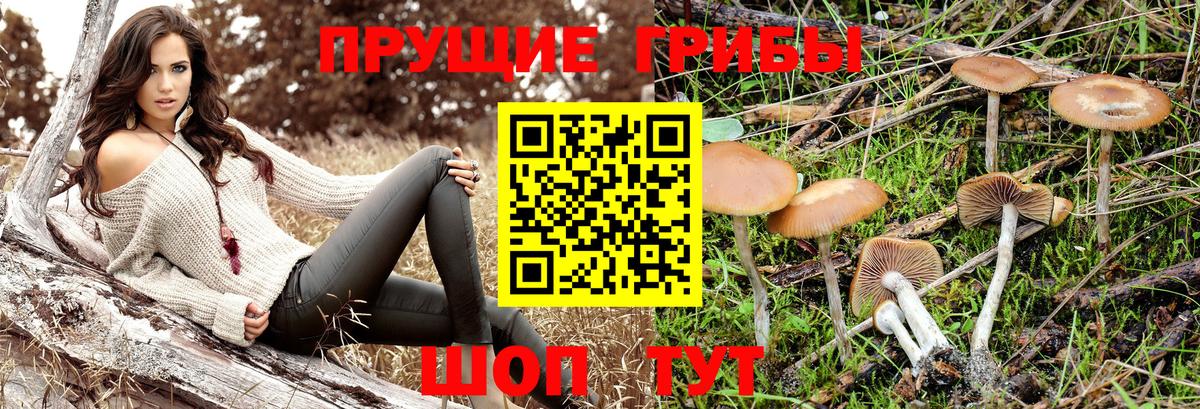 Кулебаки  Псилоцибиновые грибы ЛСД  Галлюциногенные грибы Psilocybe  Вход с VPN 