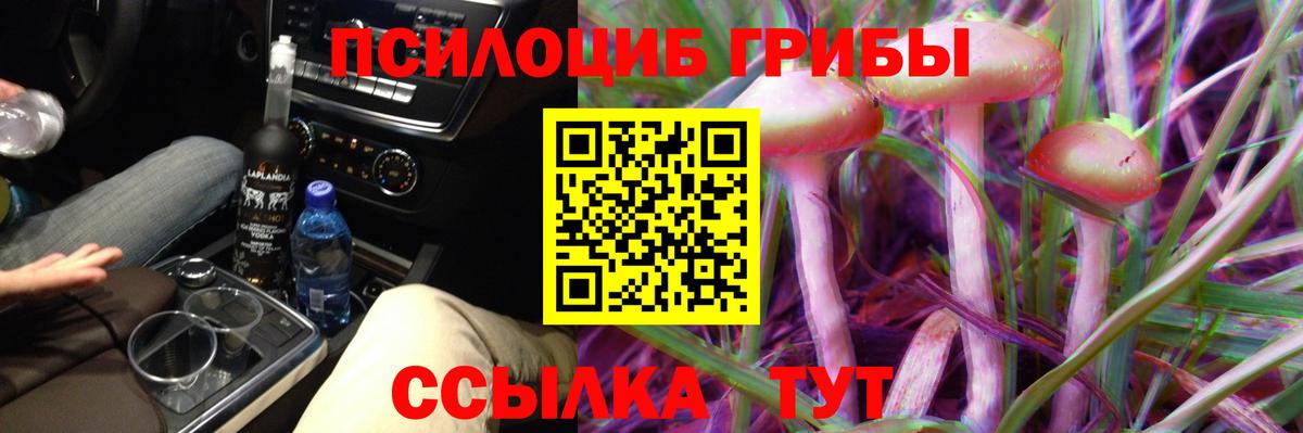 Псилоцибиновые грибы Magic Shrooms Кулебаки